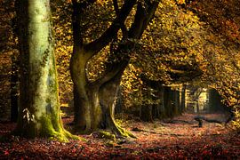 An den Toren der neuen Welt von Kees van Dongen