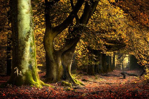 At the Gates of the New World