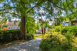 Sommerliche Idylle am Gigelberg