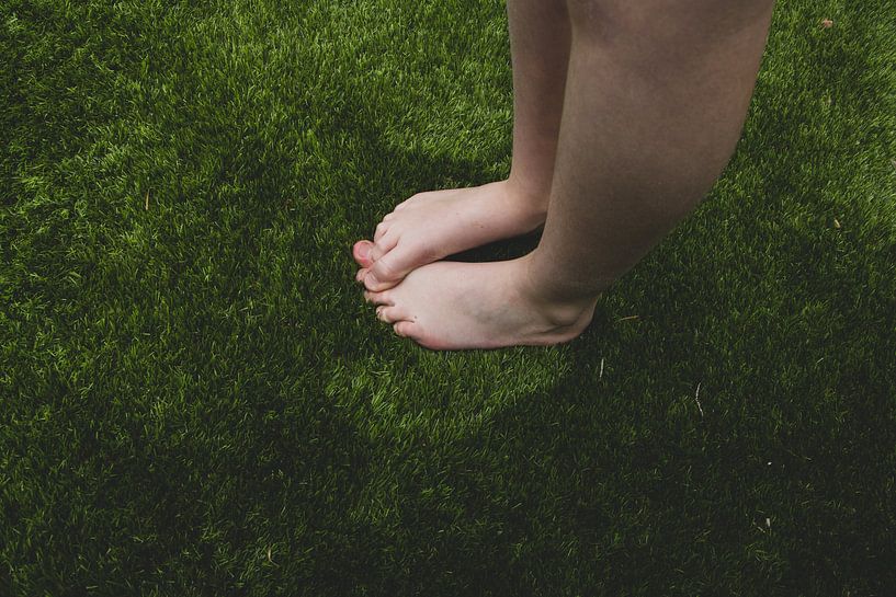 Gras van Crystal Clear