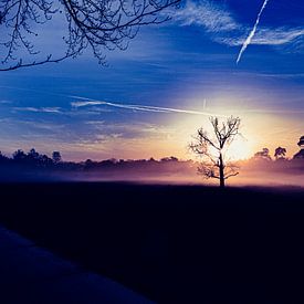 Zonsondergang op de heide van TZPhotography