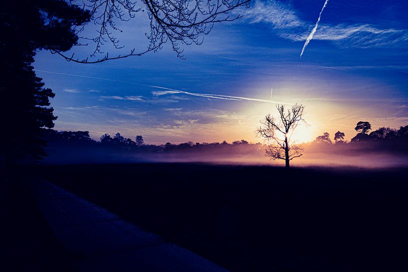 Zonsondergang op de heide van TZPhotography