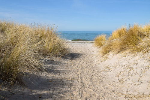 Fußweg zum Strand durch die Sanddünen mit Strandhafer (Ammophila arenaria) an der Ostsee, blaues Was