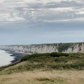 Cliffs of Normandy by Willem van den Berge