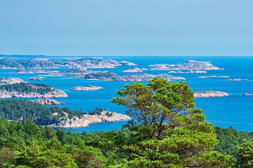 Paysage sur la péninsule de Riveneset en Norvège sur Rico Ködder