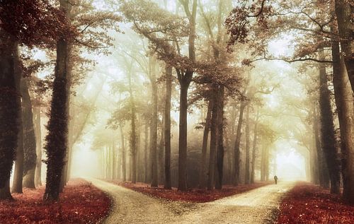 Turning left was not the right way 