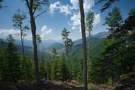 À travers les forêts jusqu'aux montagnes sur Made by Martin