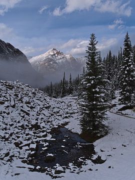 Besneeuwd landschap in de Rockies van Timon Schneider