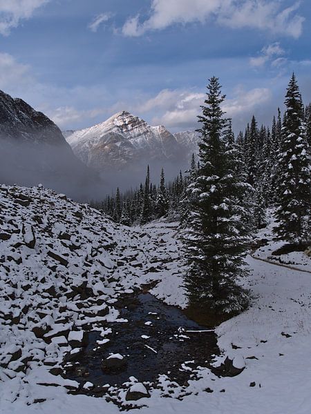 Snowy landscape in the Rockies by Timon Schneider