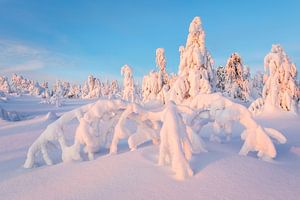Sonnenaufgang im verschneiten Erzgebirge