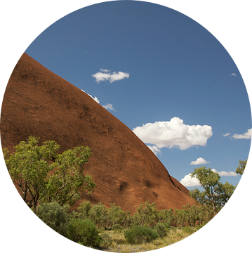 Detailbeeld Uluru Ayers Rock Australië van Bart van Wijk Grobben