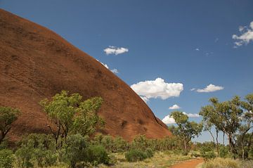 Detailed view of Uluru Ayers Rock Australia by Bart van Wijk Grobben