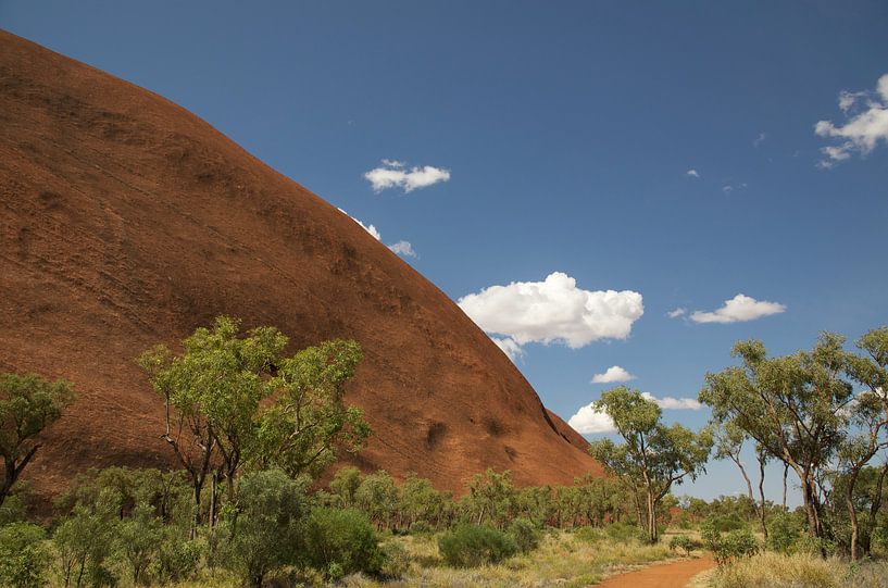 Detailed view of Uluru Ayers Rock Australia by Bart van Wijk Grobben
