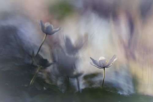 The changes of the emotions