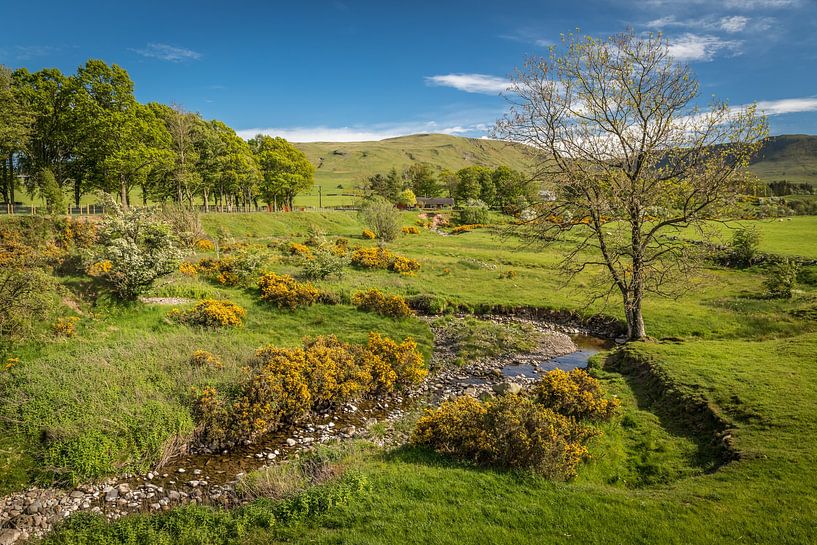 Green pastures and stream in spring near the village of Balfron by Christian Müringer