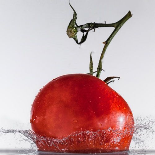tomaat te water