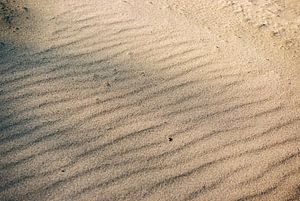 Lichtspiel auf dem Sand.