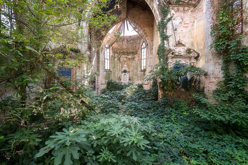 Verlaten Kerk Overgenomen door Planten. van Roman Robroek