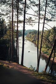 A View of the River – Peace and Quiet in the Green Heart by Milene van Arendonk