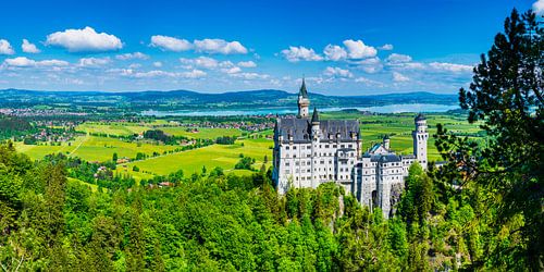 Kasteel Neuschwanstein