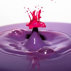 Éclaboussures de violet et de rose