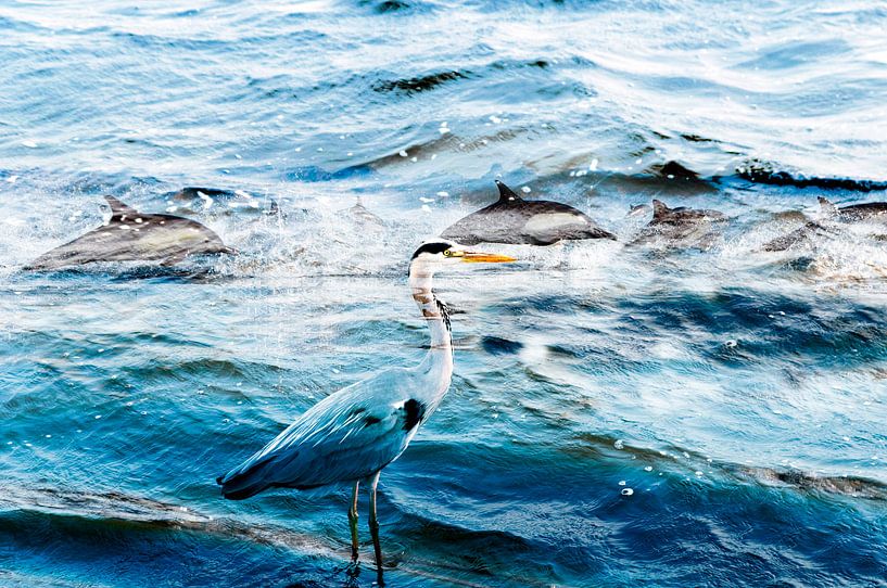 standing still by jada fotografie