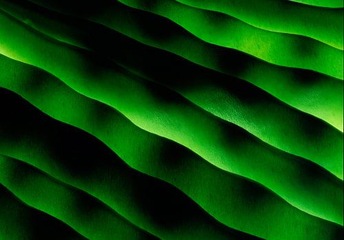 Compositie met bonen