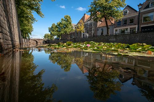 Sfeervolle stadsgracht in oude Hanzestad Kampen