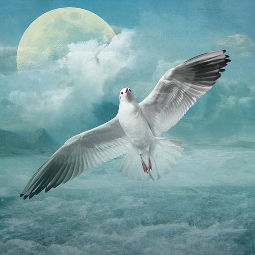 Of Seagulls and Seas sur Marja van den Hurk