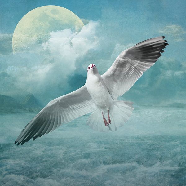 Of Seagulls and Seas von Marja van den Hurk