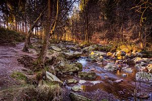 La Hoëgne (Ardennen)