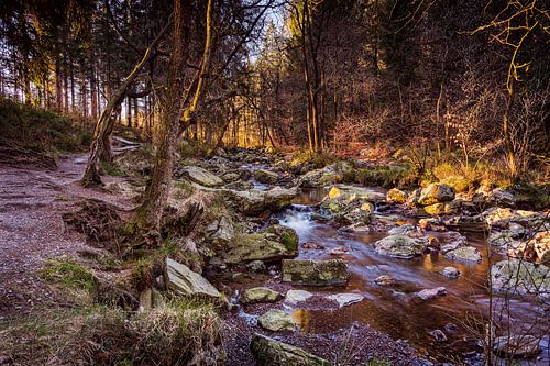 La Hoëgne (Ardennes)