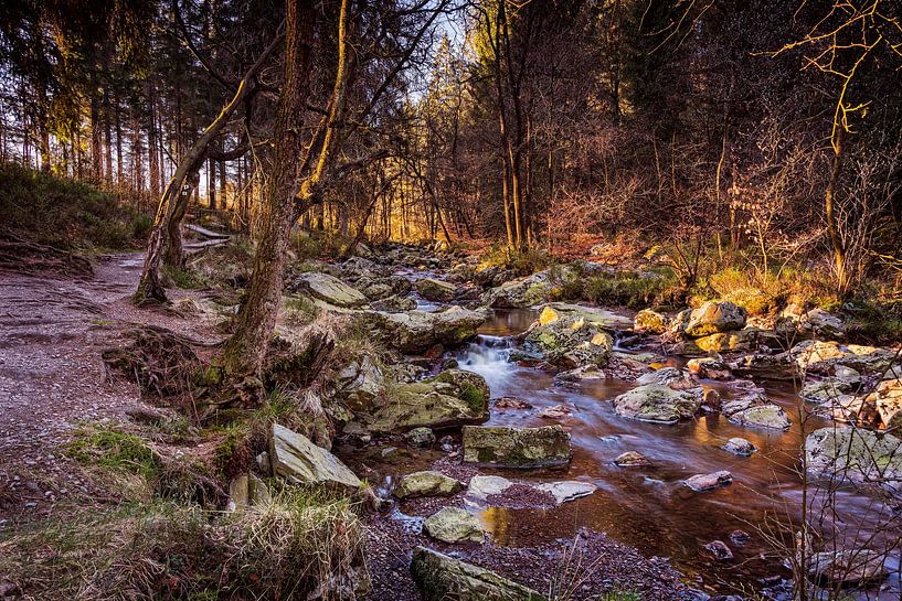 La Hoëgne (Ardennes) by Rob Boon