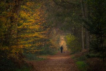 Wandelaar met hondje in het herfstbos