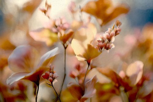 Frühling 2026 von Andreas Wemmje