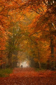 De eenzame wandelaar in het herfstbos (kunst)