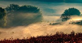 Sea of Mist by Peter van Eijk