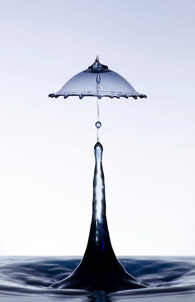 Zwarte druppel in een lampenkap vorm1 van Focco van Eek