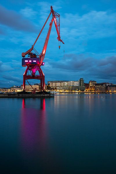 Grue par Albert Mendelewski