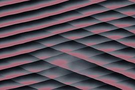 Konvergierender Scheitelpunkt — Rosa von BVDART