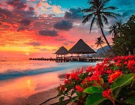 Strand met zonsondergang