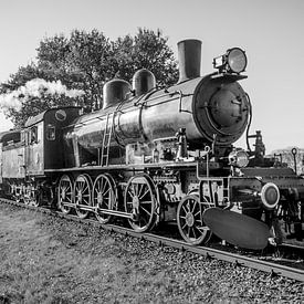 Stoomtrein van de ZLSM van Roy Debets