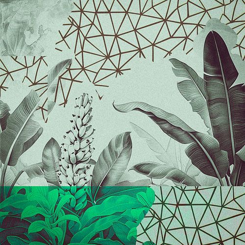 Abstract tropical plants collage