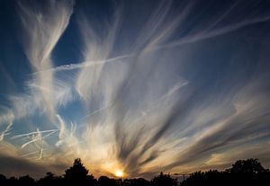 Zomerse zonsondergang
