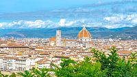 The view of Florance