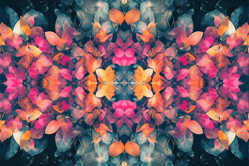 picturesque symmetrical shapes by Egon Zitter