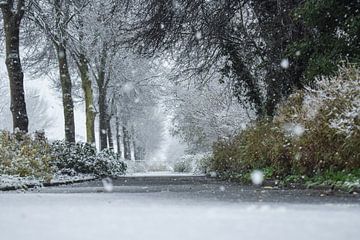 Sprookjes winter van Yarik Flik