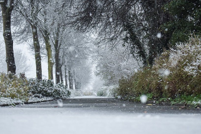 Fairytail winter by Yarik Flik