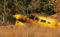 Avion échoué dans la nature