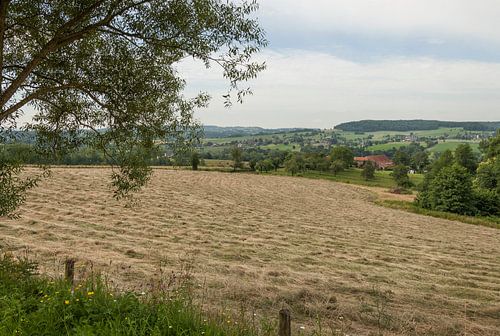 Omgeving Cottessen in Zuid-Limburg